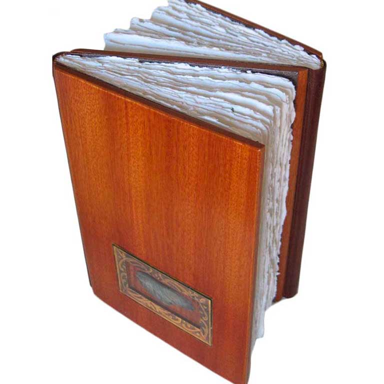 Cum Volare Solebamus / Volatus Memoria