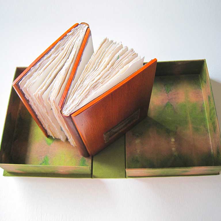 Cum Volare Solebamus / Volatus Memoria